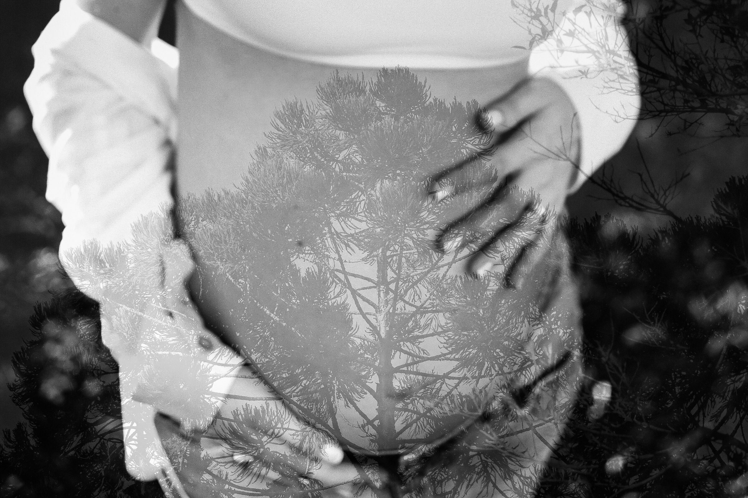 Foto de Inato Fotografia 11