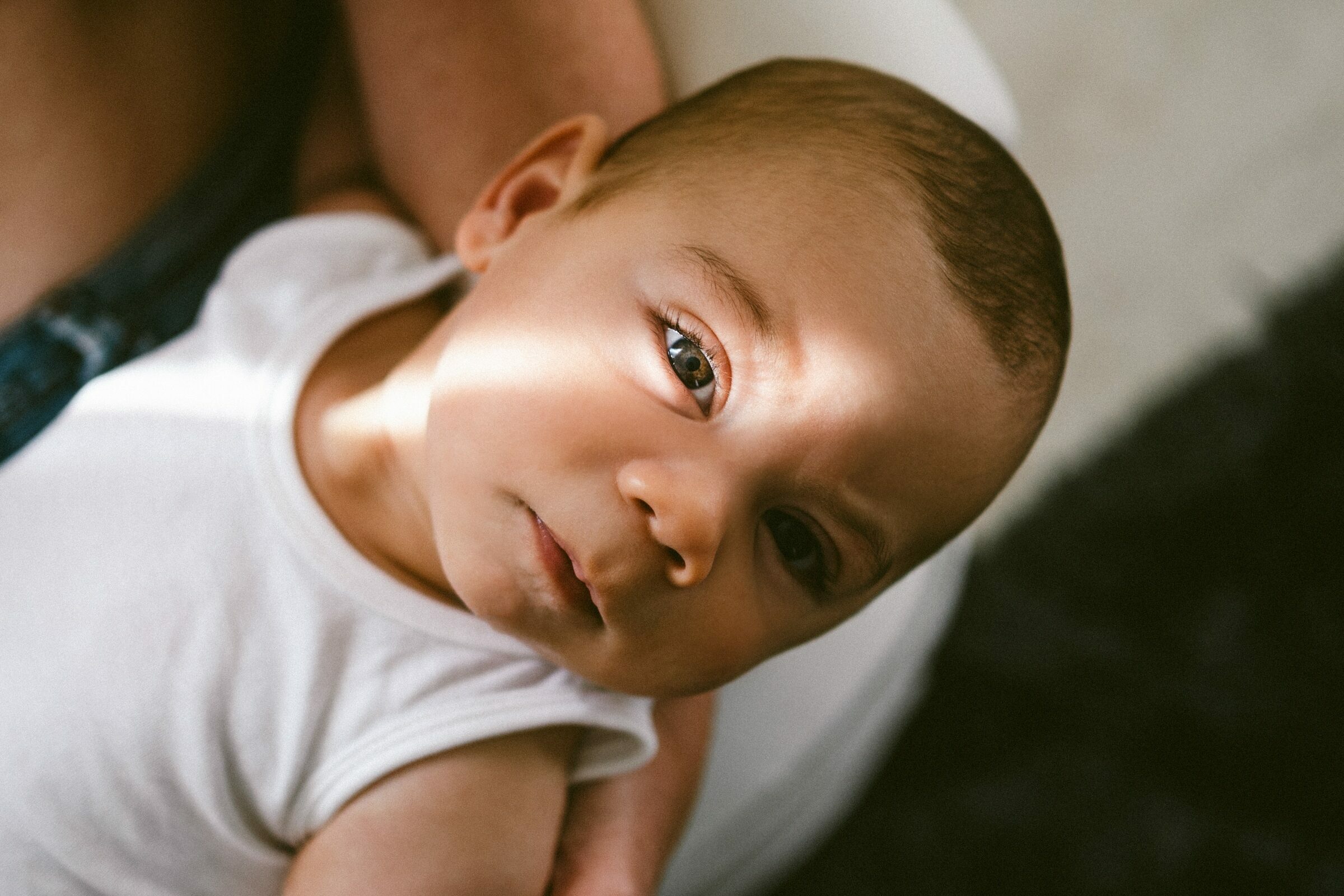 Foto de Inato Fotografia 8